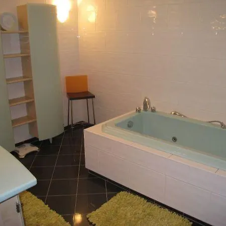 Les Toits Des Cordeliers *